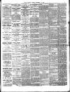 Chelsea News and General Advertiser Friday 19 October 1894 Page 5