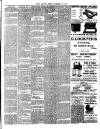 Chelsea News and General Advertiser Friday 16 November 1894 Page 3