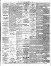 Chelsea News and General Advertiser Friday 16 November 1894 Page 5