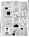 Chelsea News and General Advertiser Friday 23 November 1894 Page 7