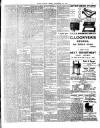 Chelsea News and General Advertiser Friday 30 November 1894 Page 3