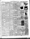 Chelsea News and General Advertiser Friday 01 March 1895 Page 3