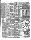Chelsea News and General Advertiser Friday 30 August 1895 Page 3