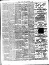 Chelsea News and General Advertiser Friday 06 September 1895 Page 3