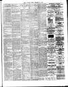 Chelsea News and General Advertiser Friday 25 October 1895 Page 3