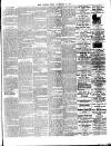 Chelsea News and General Advertiser Friday 29 November 1895 Page 3