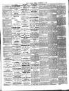Chelsea News and General Advertiser Friday 29 November 1895 Page 5
