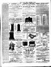 Chelsea News and General Advertiser Friday 29 November 1895 Page 7