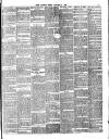 Chelsea News and General Advertiser Friday 03 January 1896 Page 3