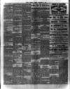 Chelsea News and General Advertiser Friday 23 October 1896 Page 8