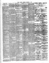 Chelsea News and General Advertiser Friday 04 December 1896 Page 3