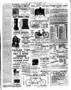 Chelsea News and General Advertiser Friday 04 December 1896 Page 7