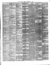 Chelsea News and General Advertiser Friday 18 December 1896 Page 3