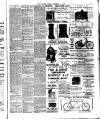 Chelsea News and General Advertiser Friday 18 December 1896 Page 7