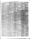 Chelsea News and General Advertiser Thursday 24 December 1896 Page 5