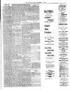 Chelsea News and General Advertiser Friday 07 December 1900 Page 3