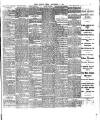 Chelsea News and General Advertiser Friday 06 September 1901 Page 3