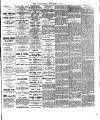 Chelsea News and General Advertiser Friday 06 September 1901 Page 5