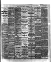 Chelsea News and General Advertiser Friday 25 October 1901 Page 5