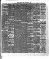 Chelsea News and General Advertiser Friday 01 November 1901 Page 3