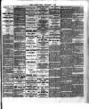 Chelsea News and General Advertiser Friday 01 November 1901 Page 5