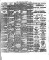 Chelsea News and General Advertiser Friday 15 November 1901 Page 3
