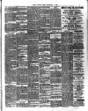 Chelsea News and General Advertiser Friday 07 February 1902 Page 3
