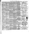 Chelsea News and General Advertiser Friday 19 September 1902 Page 3