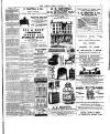 Chelsea News and General Advertiser Friday 17 October 1902 Page 7