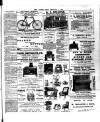 Chelsea News and General Advertiser Friday 06 February 1903 Page 7