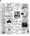 Chelsea News and General Advertiser Friday 13 February 1903 Page 7