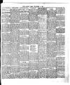 Chelsea News and General Advertiser Friday 08 September 1905 Page 3