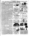 Chelsea News and General Advertiser Friday 01 June 1906 Page 3