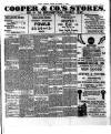 Chelsea News and General Advertiser Friday 04 October 1907 Page 3