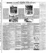 Chelsea News and General Advertiser Friday 01 September 1911 Page 7