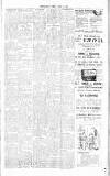 Chelsea News and General Advertiser Friday 02 April 1915 Page 3