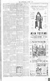 Chelsea News and General Advertiser Friday 01 October 1915 Page 6