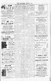 Chelsea News and General Advertiser Friday 03 December 1915 Page 7