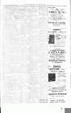 Chelsea News and General Advertiser Friday 07 January 1916 Page 7