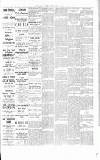 Chelsea News and General Advertiser Friday 04 February 1916 Page 5