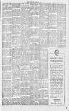 Chelsea News and General Advertiser Friday 08 February 1918 Page 3