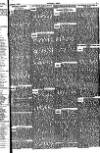 Cricket and Football Field Saturday 07 January 1888 Page 3