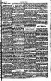 Cricket and Football Field Saturday 21 January 1888 Page 7