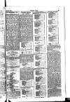 Cricket and Football Field Saturday 27 April 1889 Page 5