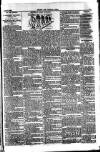 Cricket and Football Field Saturday 08 June 1889 Page 3