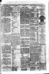 Cricket and Football Field Saturday 23 November 1889 Page 5