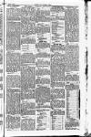 Cricket and Football Field Saturday 04 March 1893 Page 5