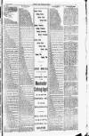 Cricket and Football Field Saturday 24 June 1893 Page 7