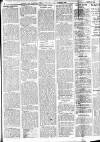 Cricket and Football Field Saturday 24 October 1908 Page 5