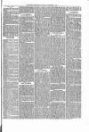 Brecon Reporter and South Wales General Advertiser Saturday 21 November 1863 Page 5